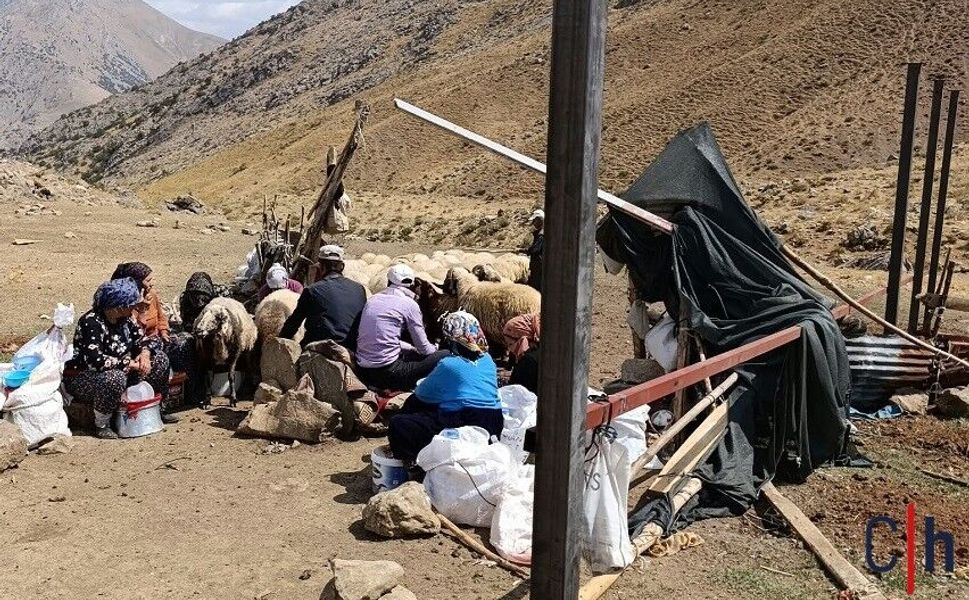 Durankaya’da Berivanların gölgelik feryadı!