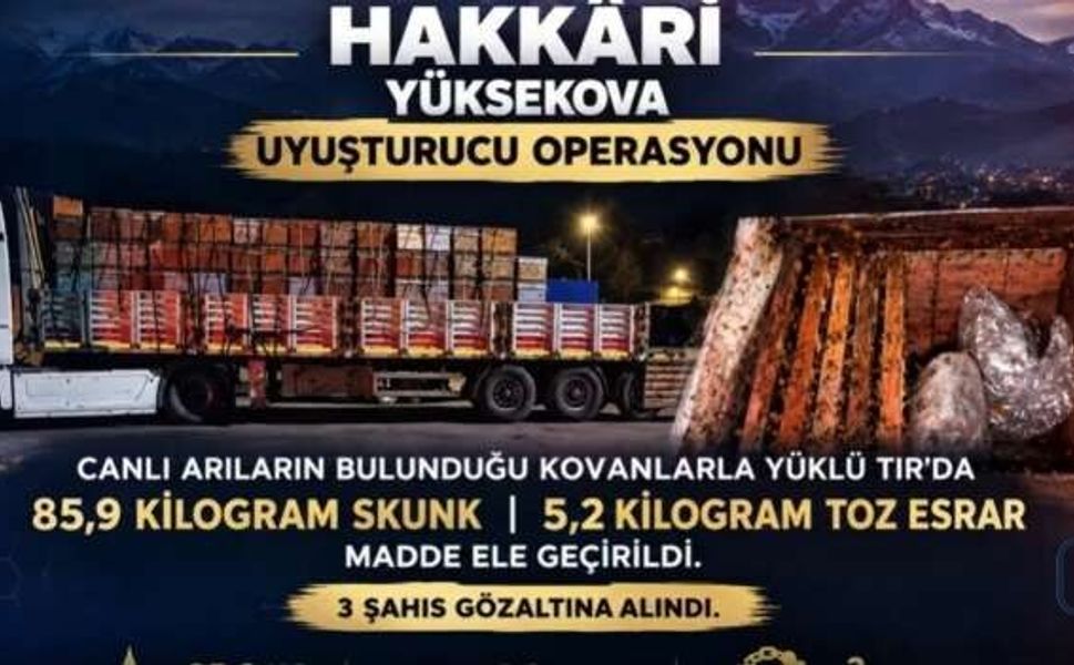 Hakkari’de arı kovanlarının içinden 91,1 kilo skunk çıktı