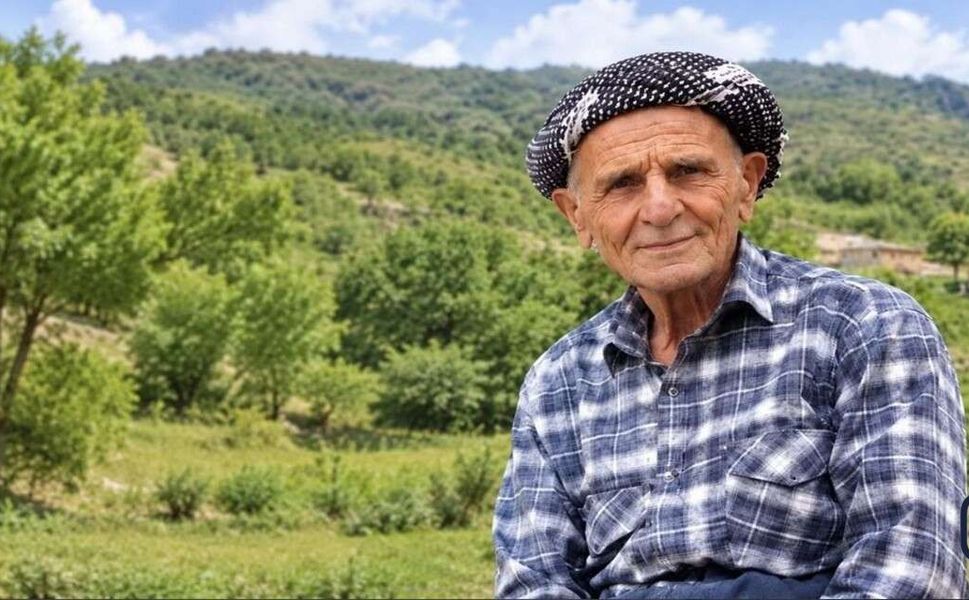Hakkari’de ceviz hasadı acıyla bitti