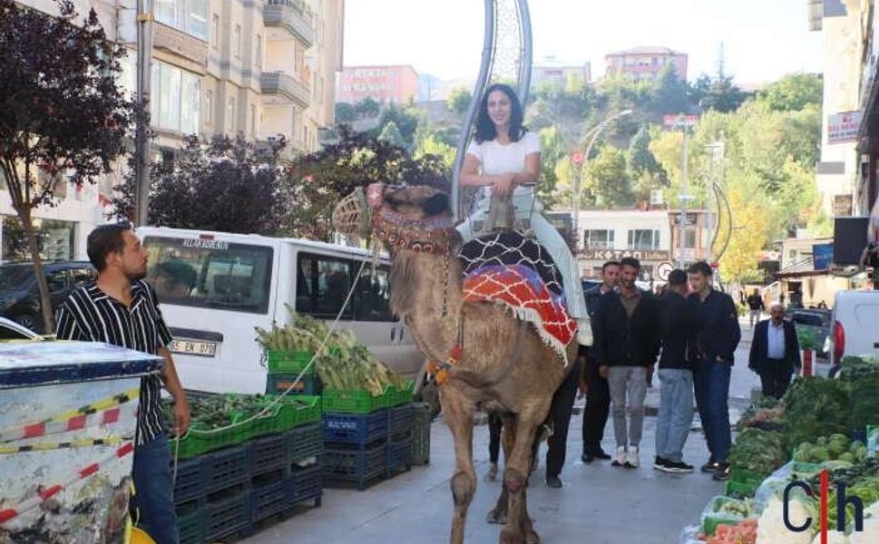 Hakkari’de deve ve Midilli ilgi odağı oldu