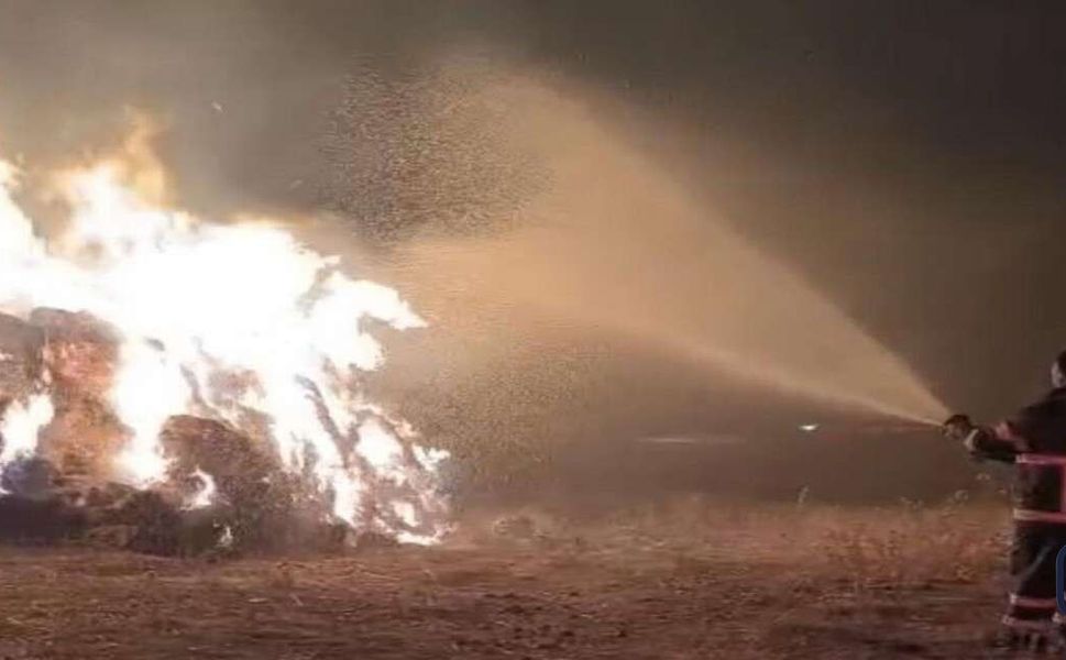 Yüksekova’da Yangın: 5 bin bağ ot kül oldu